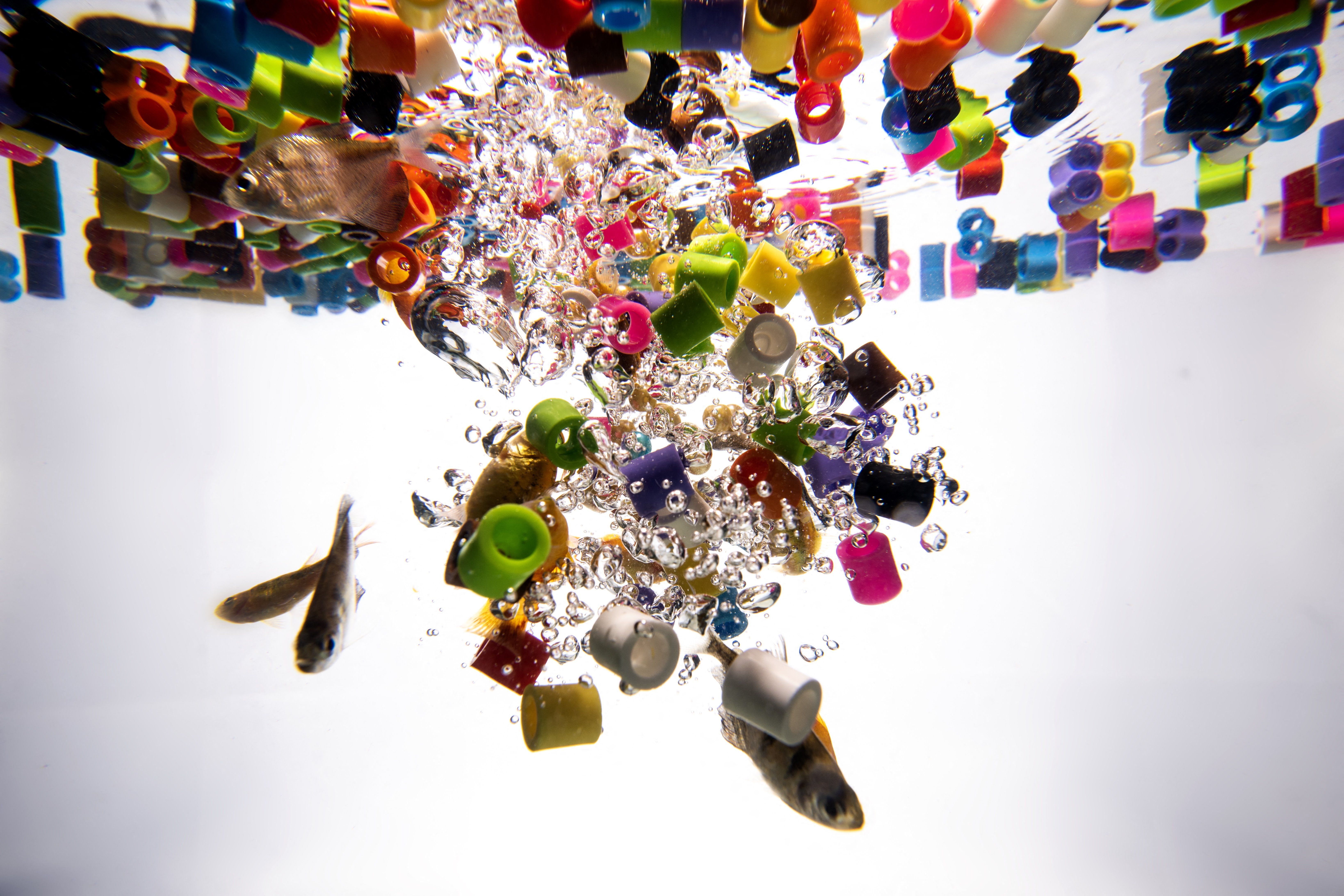 Microplastics React With Water, a New Study Says. That’s a Problem for Biology — Wired, Bangalore Technology news