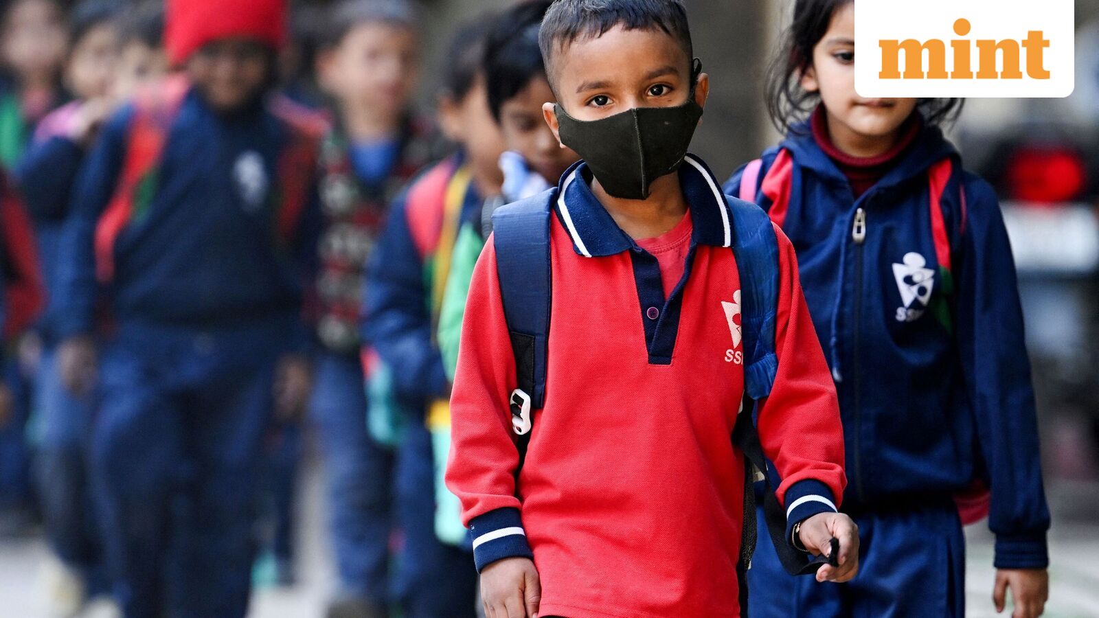 Chennai school holiday, Oct 21: Schools shut in four Tamil Nadu districts as heavy rains predicted | Check IMD alert — Mint India, Bangalore Schools news