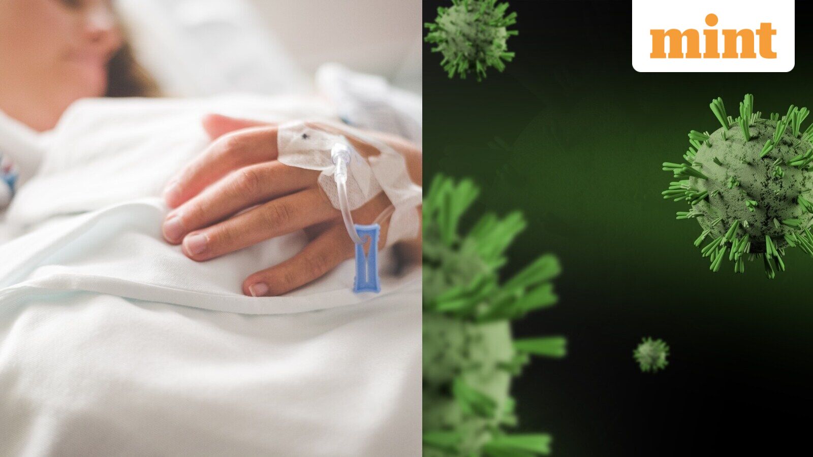What is Shamonda virus? How is it transmitted? ECDC monitoring situation as France reports first, rare human case — Mint India