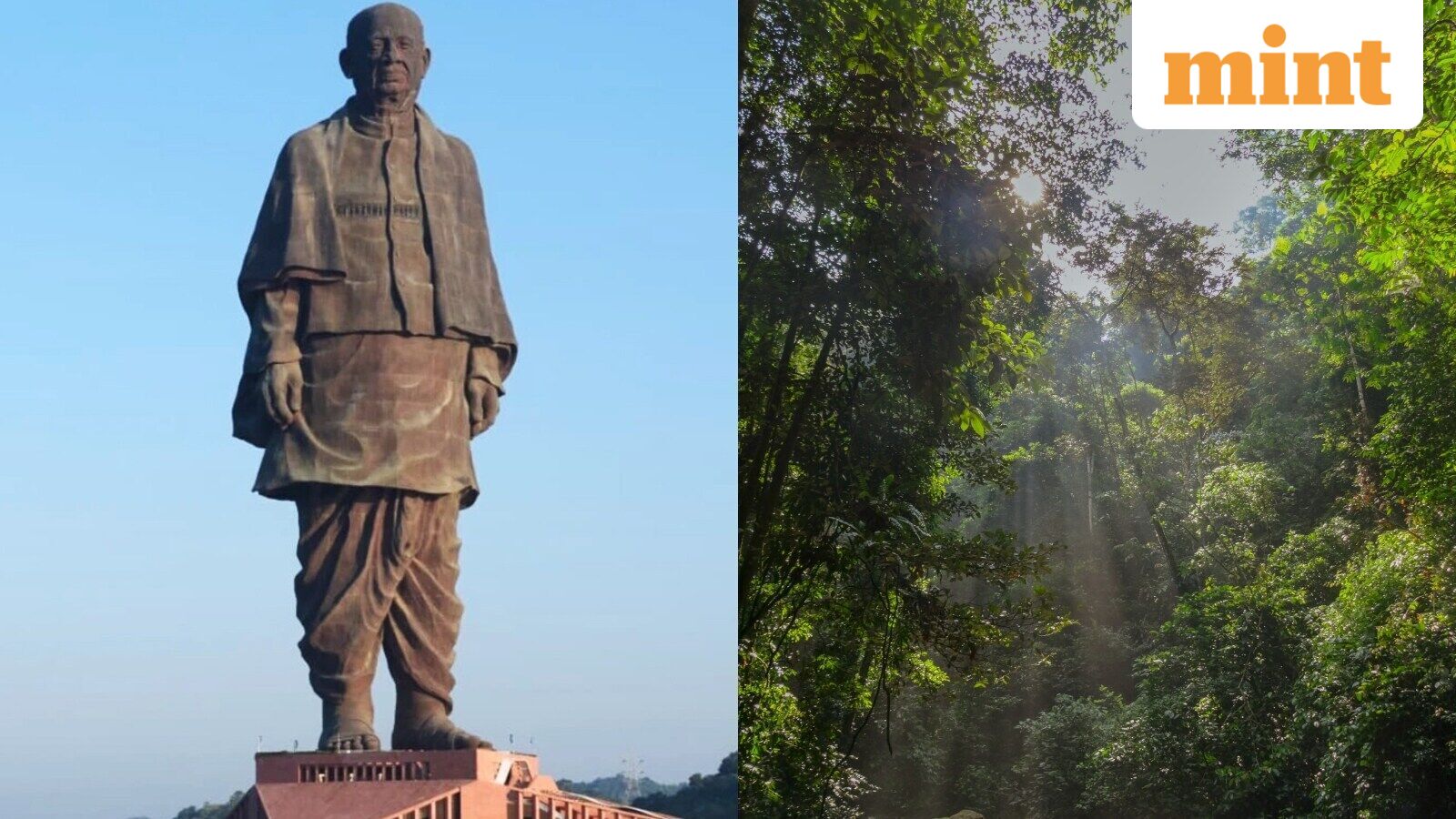 Artificial rain, waterfall, glass skywalk: Statue of Unity to develop ₹12 crore rainforest to boost Gujarat tourism — Bangalore Technology news